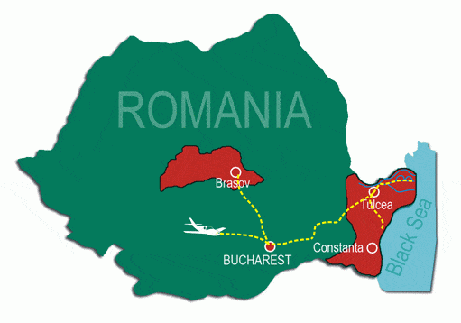 Ornithologische reise und Bärenbeobachtungstour in Rumänien