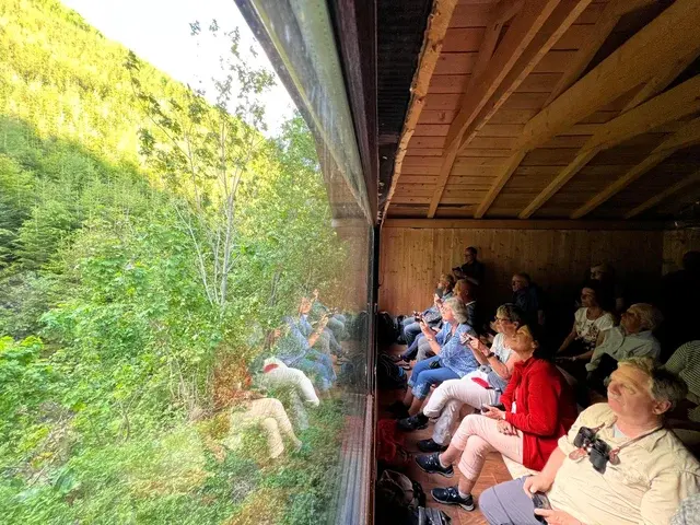 Reisegruppe am Bärenbeobachtungs-Ansitz in den Karpaten