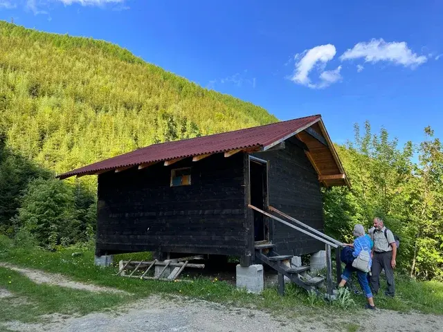 Bärenbeobachtungs-Ansitz in den Karpaten — Nationalpark Piatra Craiului