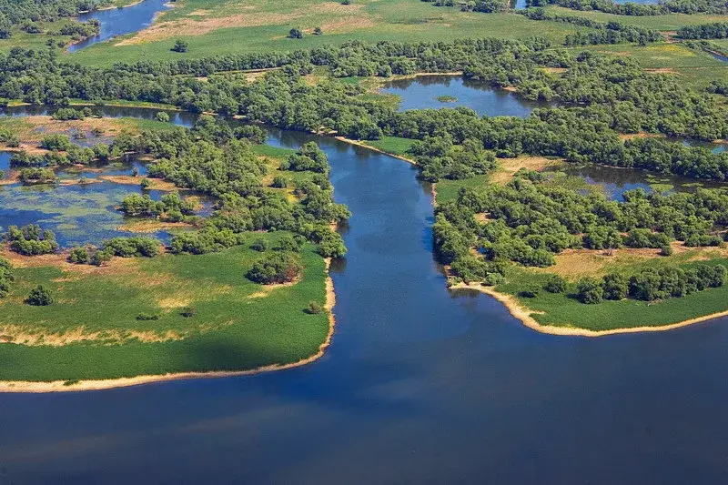 Danube Delta wetlands in spring — peak birdwatching season