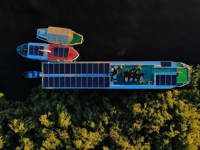 Danube Delta wildlife cruise 5 days — Letea forest, Sulina Black Sea mouth and Dobrogea steppe