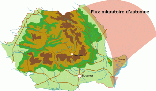 Dobrogea Region