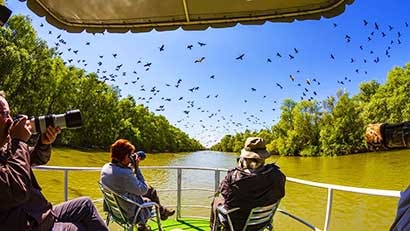 Wildlife Cruises in Danube Delta