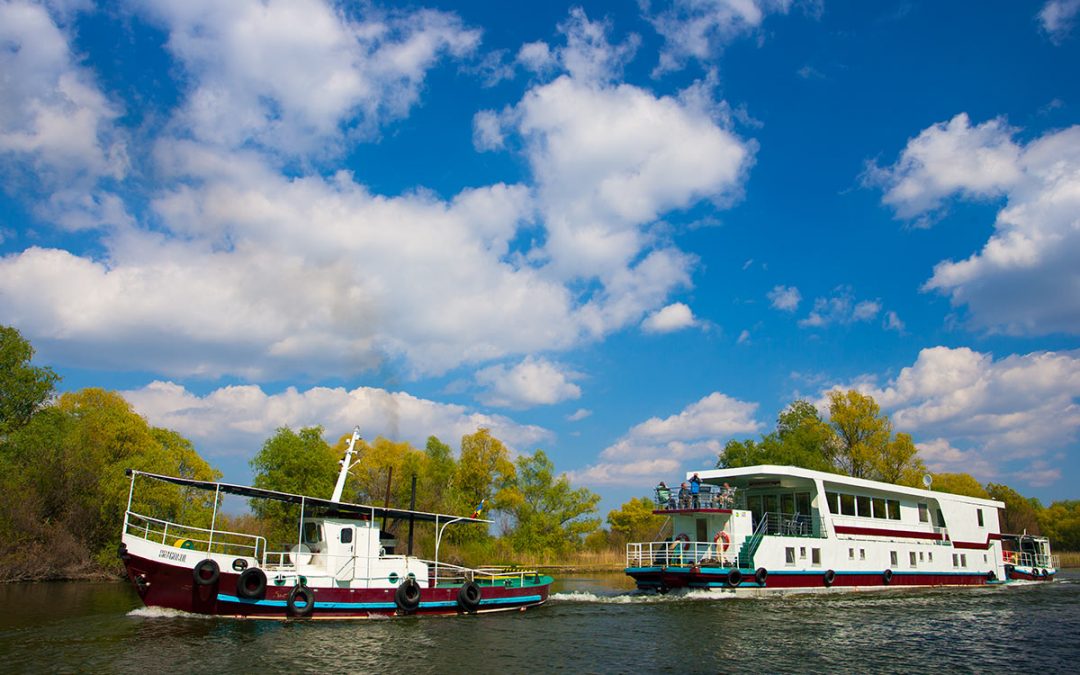 Birdwatching Cruise in the Danube Delta